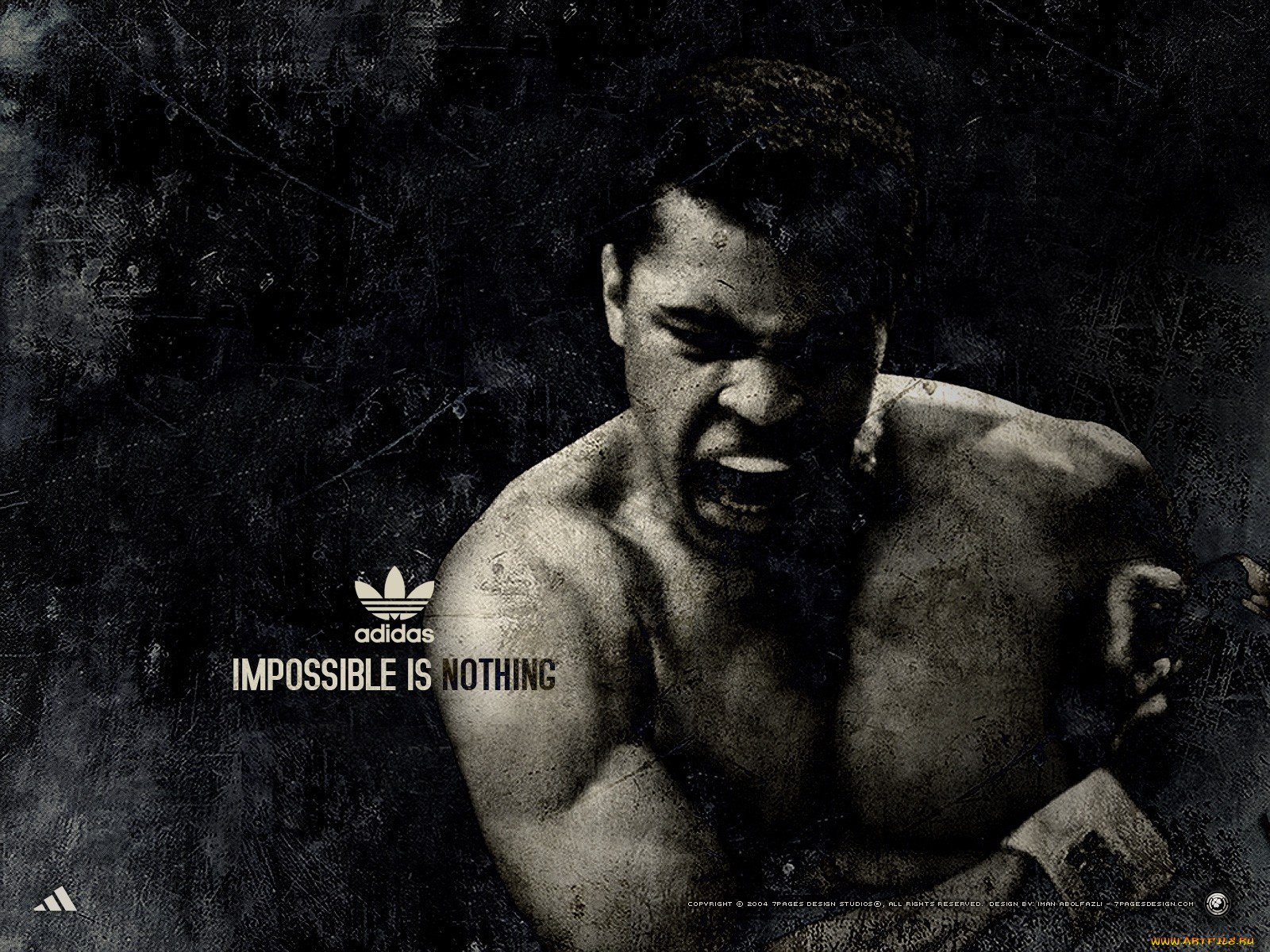 , adidas, , , 